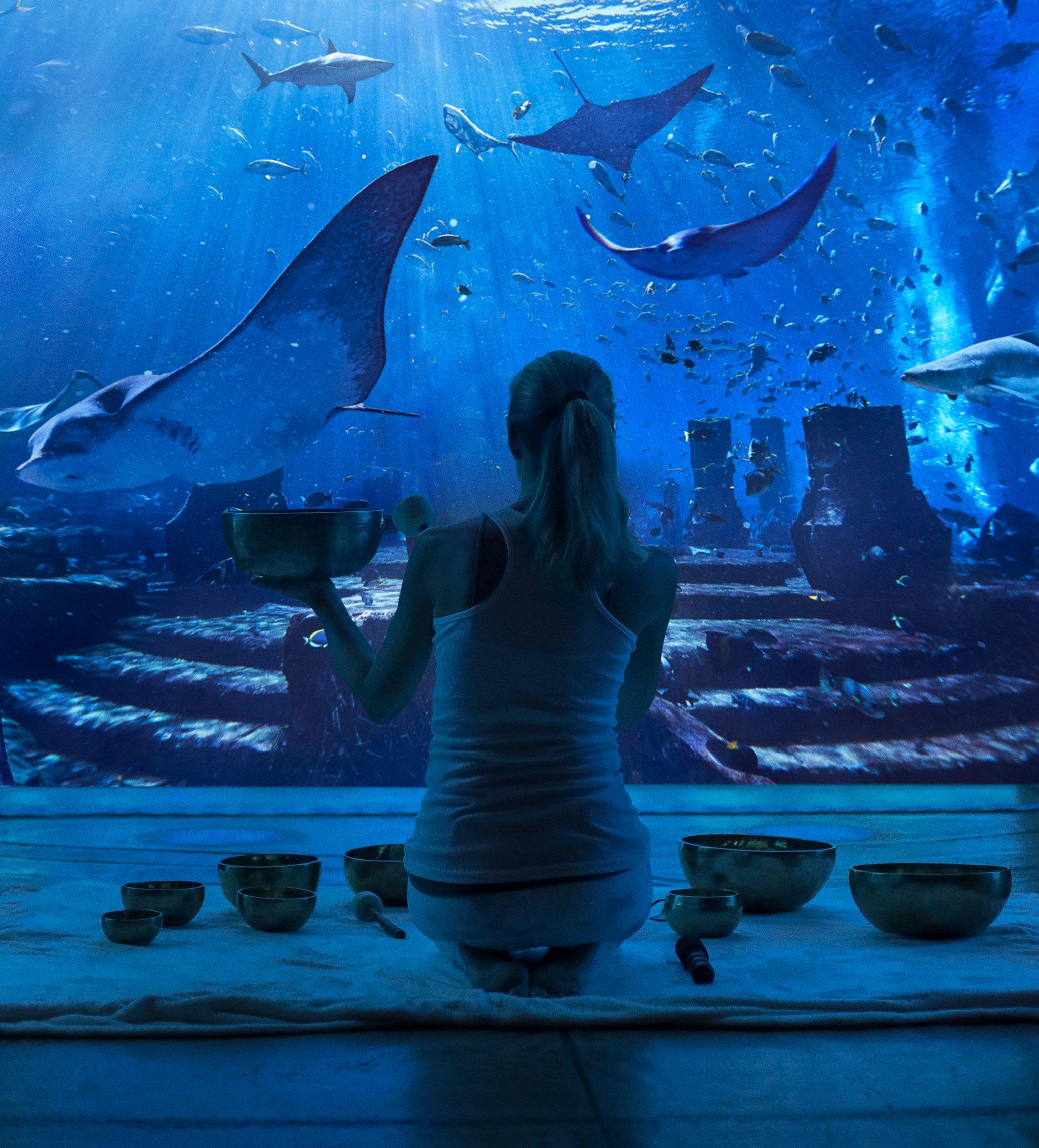 Sound healing meditation